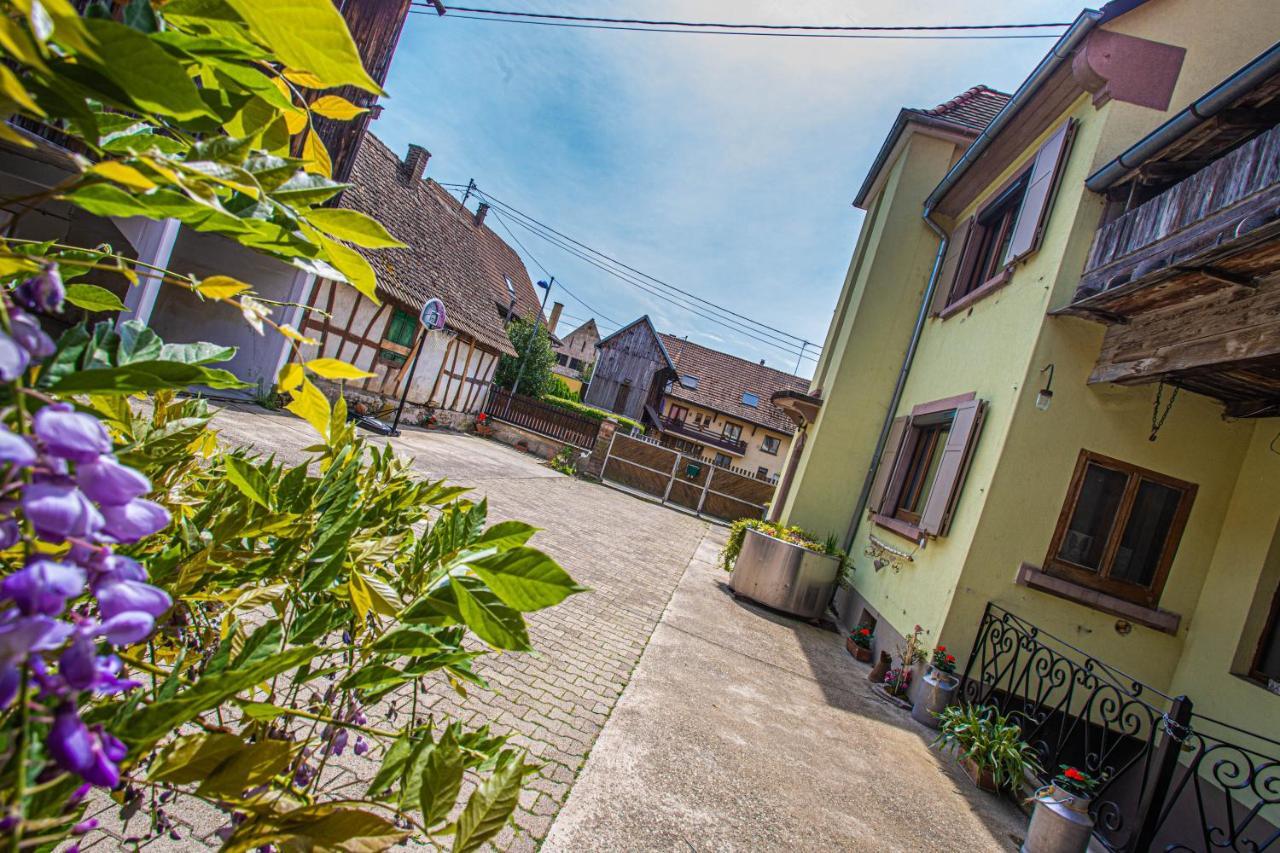 Gite Le Coeur D'Alsace Boofzheim Kültér fotó