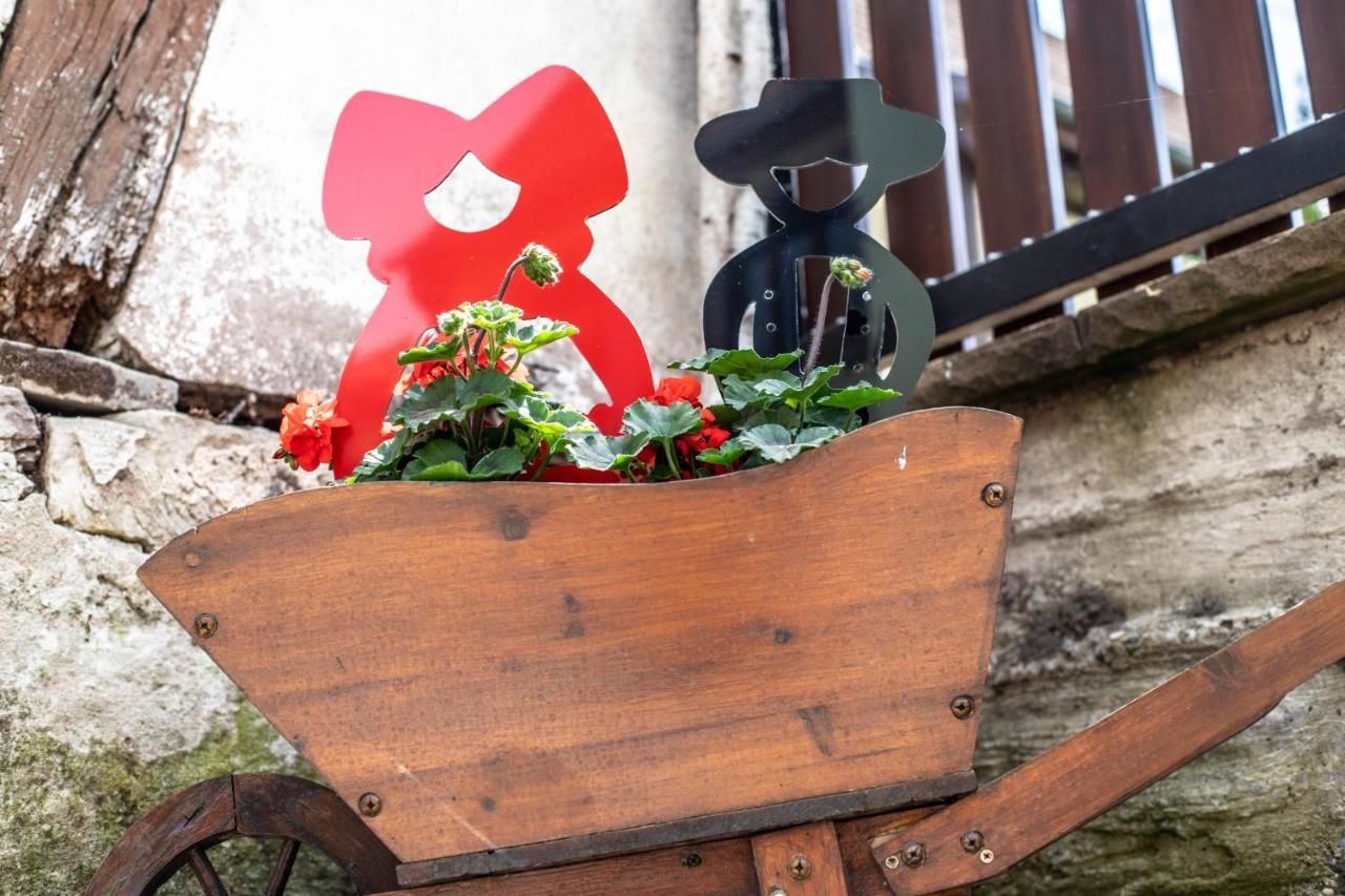 Gite Le Coeur D'Alsace Boofzheim Kültér fotó