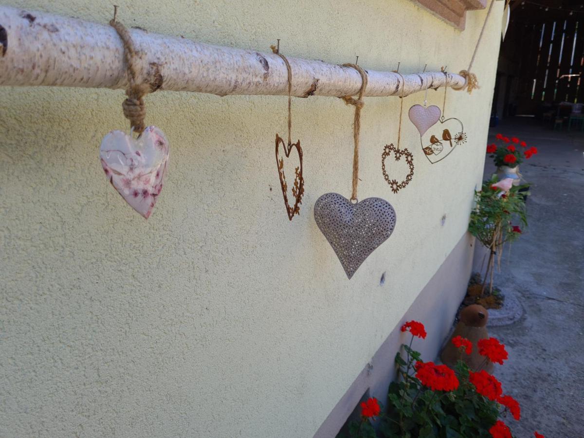 Gite Le Coeur D'Alsace Boofzheim Kültér fotó